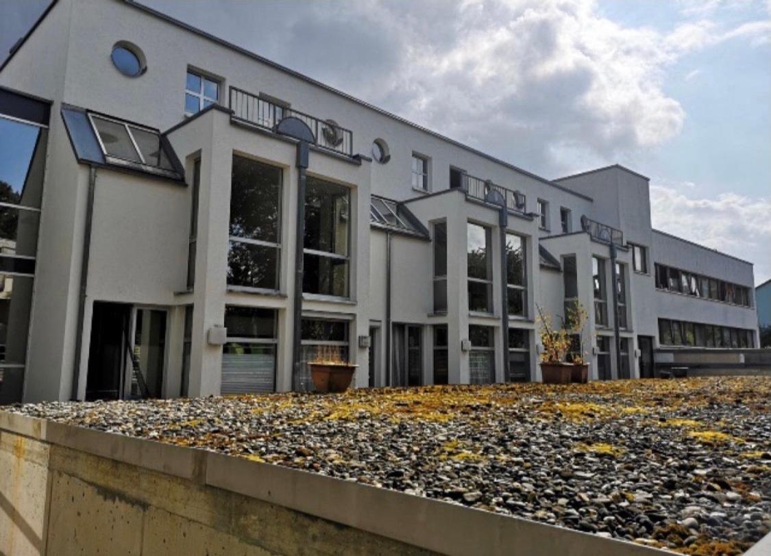Nice Apartment , Next To University , Wifi&Free Parking Ratisbona Exterior foto
